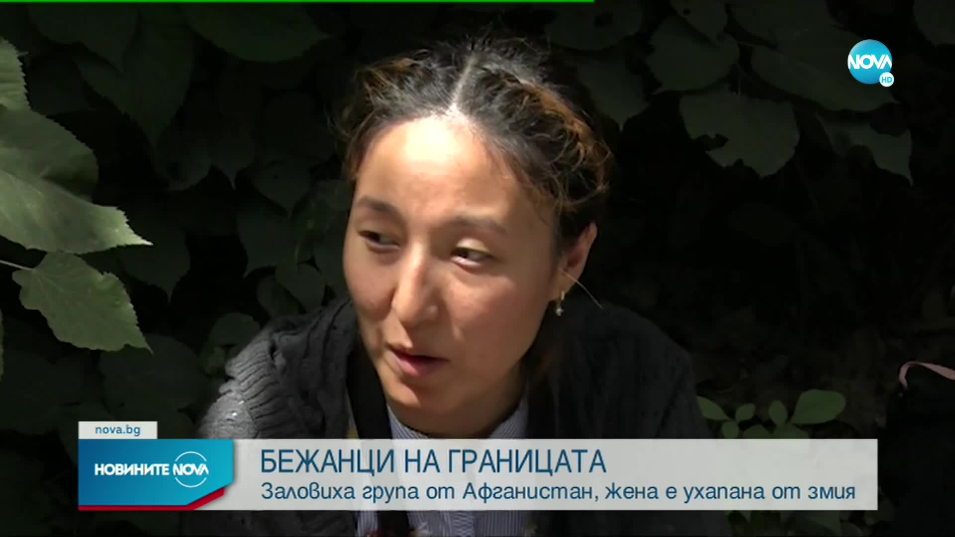 В Странджа заловиха бежанци от Афганистан, жена от групата била ухапана от змия