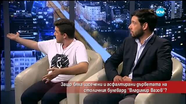 Защо бяха изсечени и асфалтирани дървета в столицата?