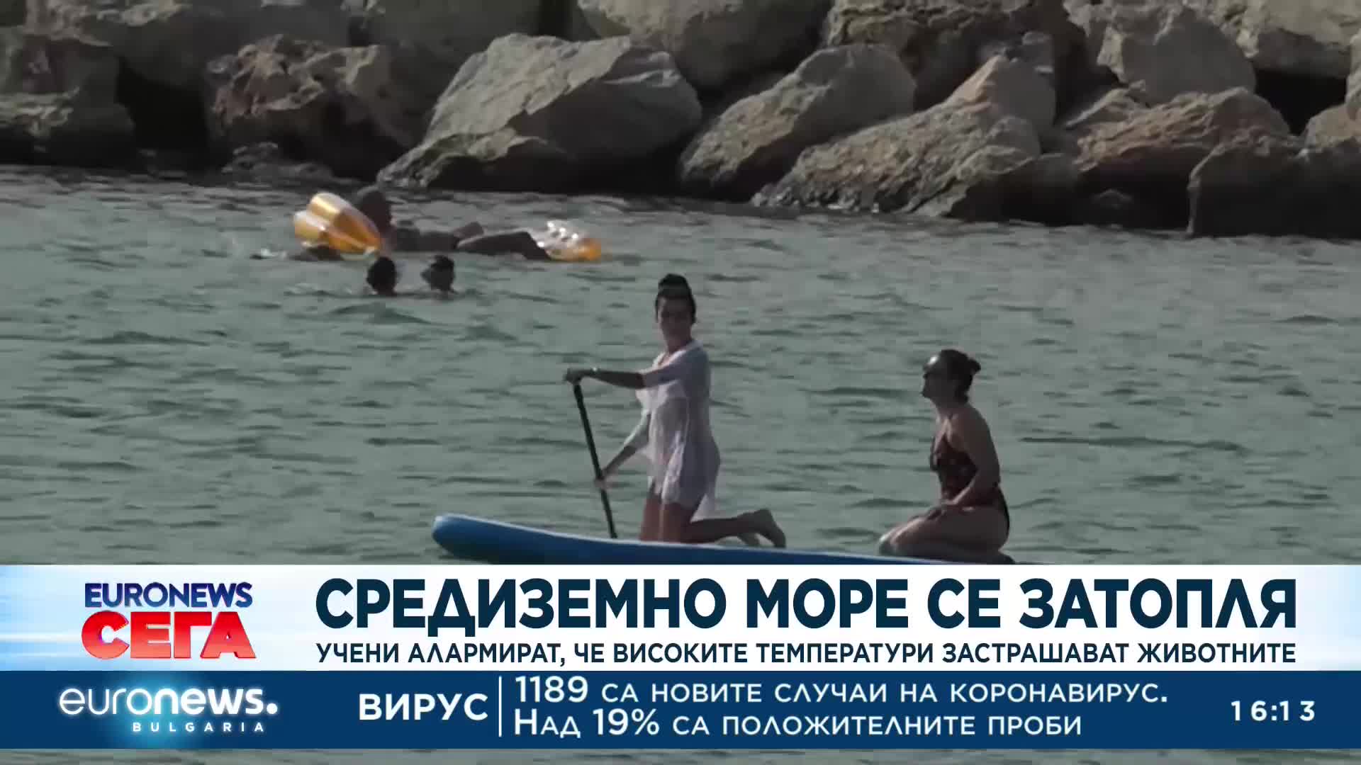 Средиземно море се затопля, морски видове измират