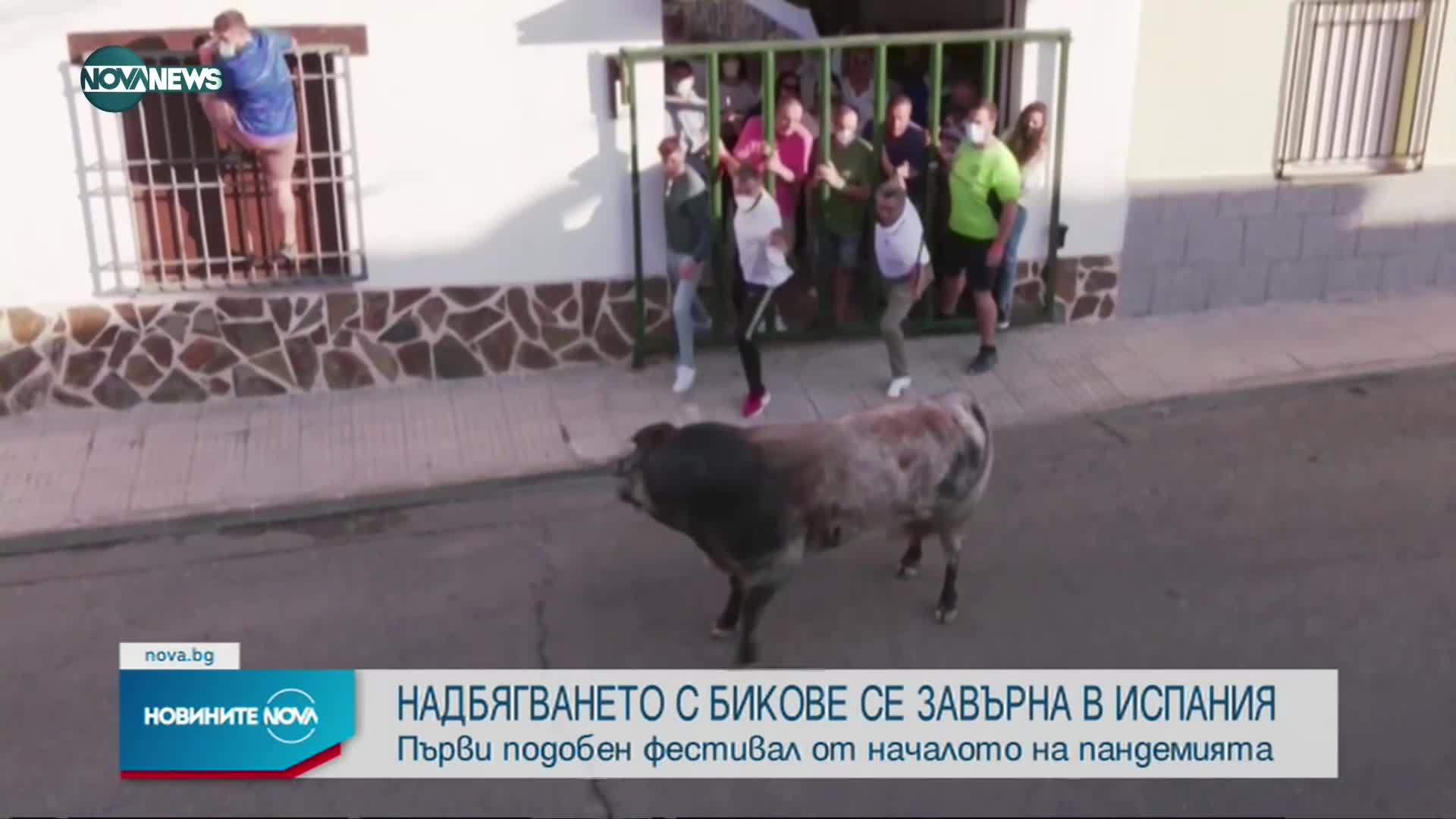В Толедо отново се надбягват с бикове