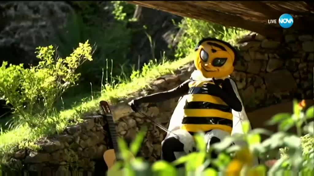 Пчелата изпълнява Hello на Adele | Маскираният певец