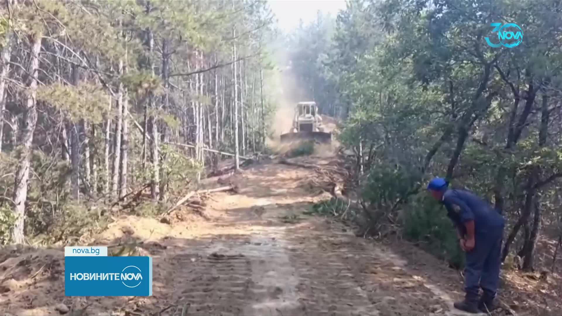 Огнеборци преградиха пътя на пожара в Малешевската планина