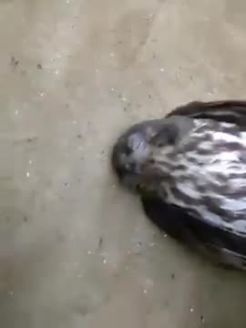 Прекъсна и релаксацията...