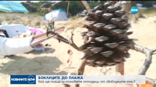 СКАНДАЛ ЗА "КОРАЛ": Кой ще плаща за тоновете отпадъци от свободните зони?