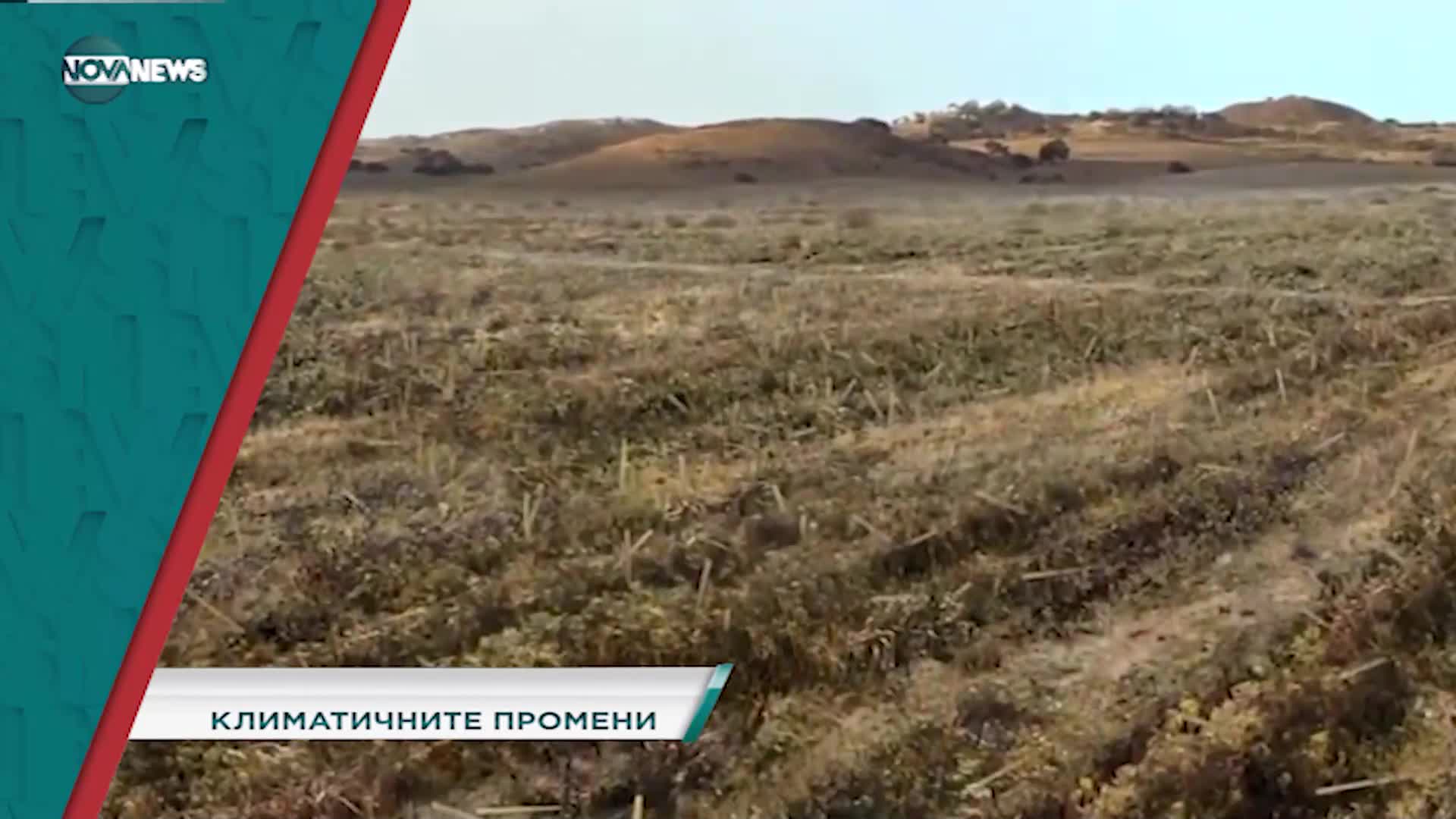В "Социална мрежа" на 9 ноември от 15:20 ч. ще видите