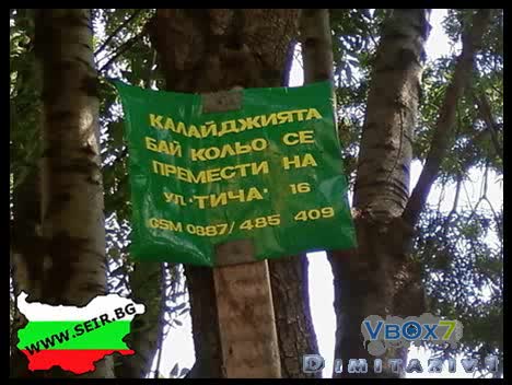 Тези Снимки И Тези Песни - Само В България