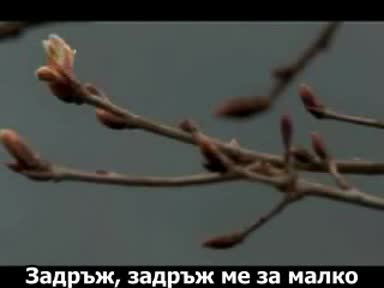 Rednex - Hold Me For A While