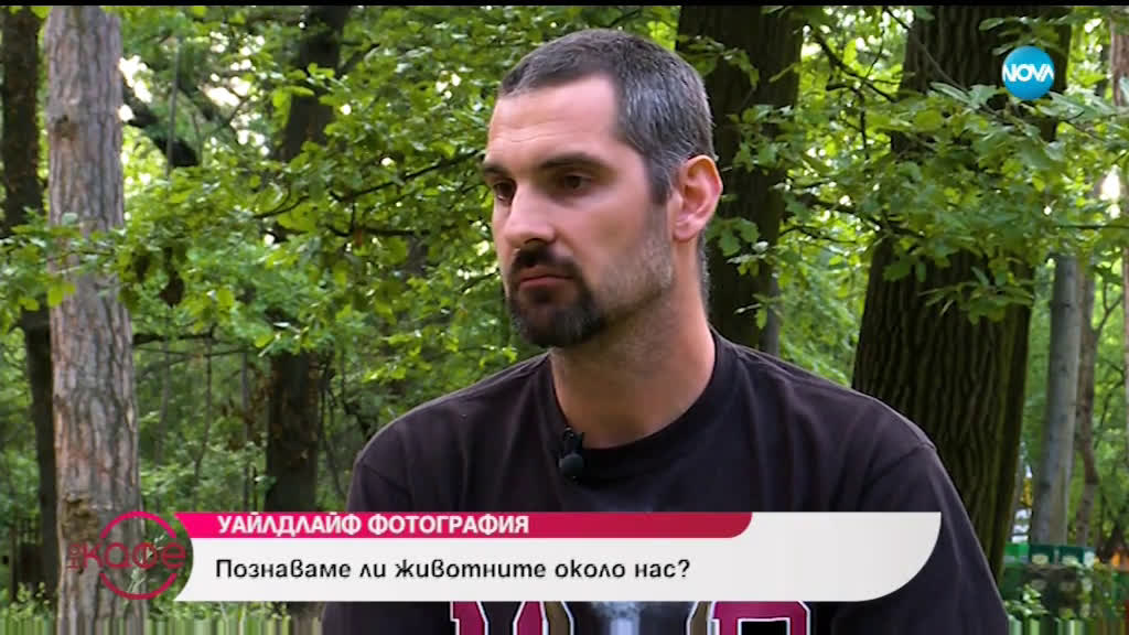 Уайлдлайф фотогрфия: Предизвикателствата, пред които те поставя - На кафе (03.06.2019)