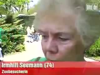 Инцидент...жена пада в клетката с полярни мечки..!!! 