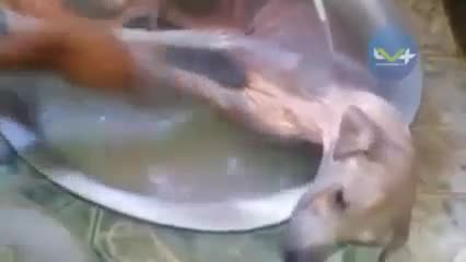 Постъпката на този човек е достойна за уважение !