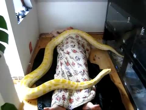 Добре се разбират ^_^