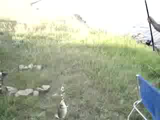 Ловя Риба На Поройския Язовир