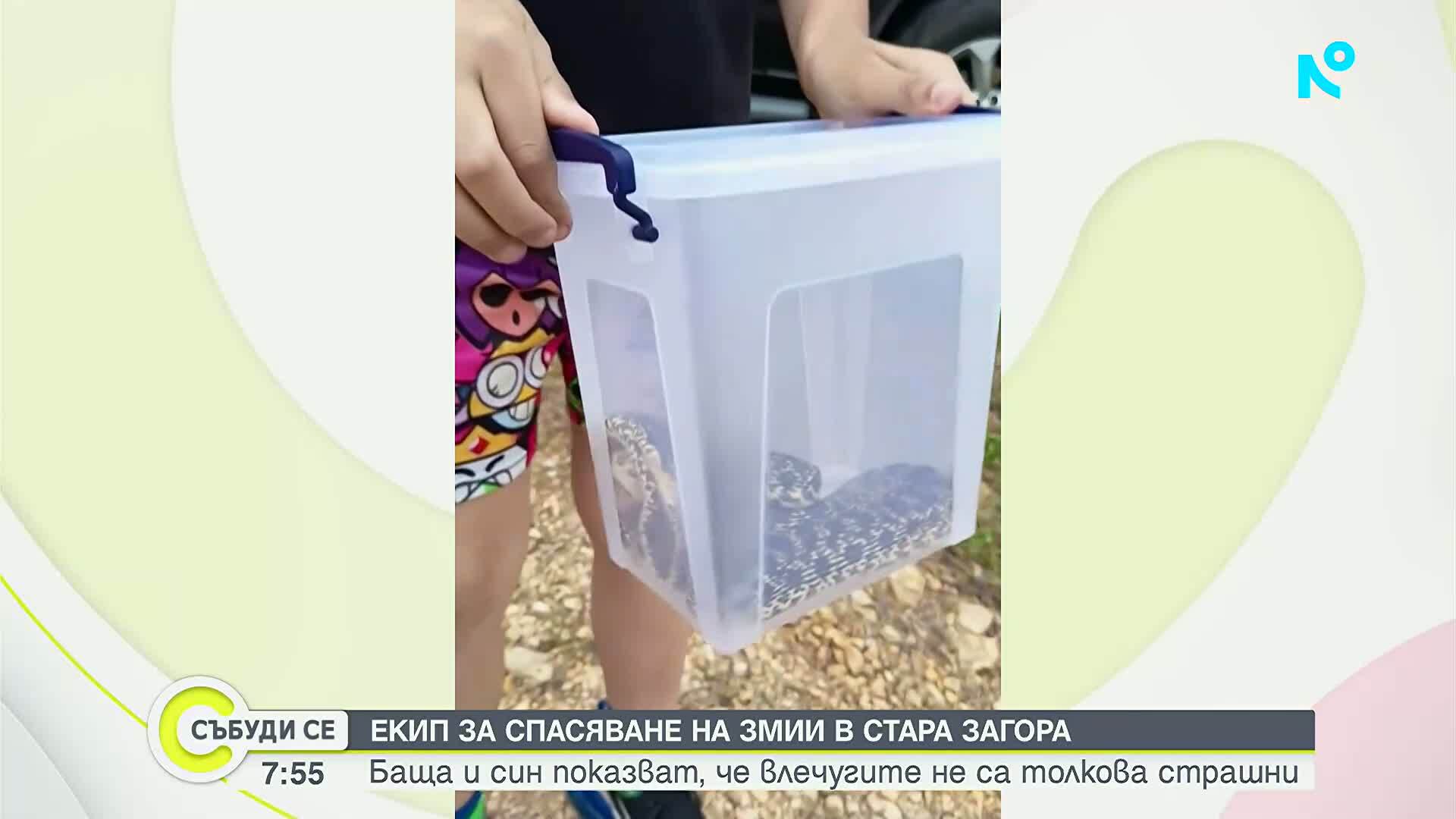 Баща и син спасяват змии от домове в Стара Загора
