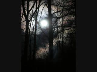Enigma - Almost Full Moon