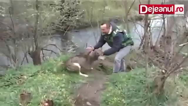Мъже спасяват давещо се куче и създават един нов приятел
