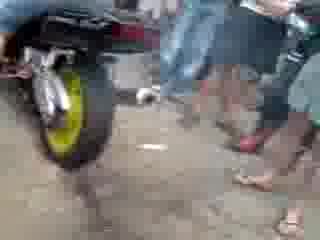 Honda Cbr 600 Червен Бряг (Viktor)