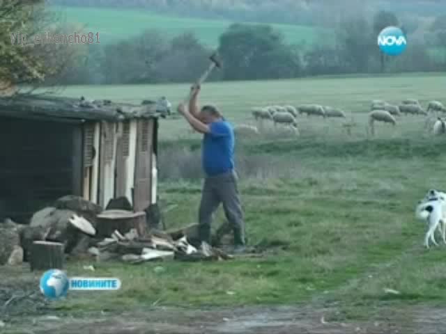 Щъркел шокира цяло село с появата си