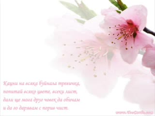 За Влюбените - Споменчета
