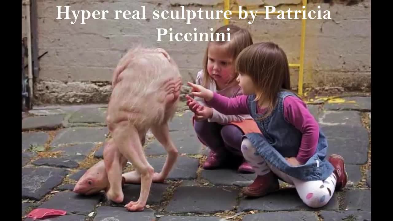 Най-странните и редки животни на Земята