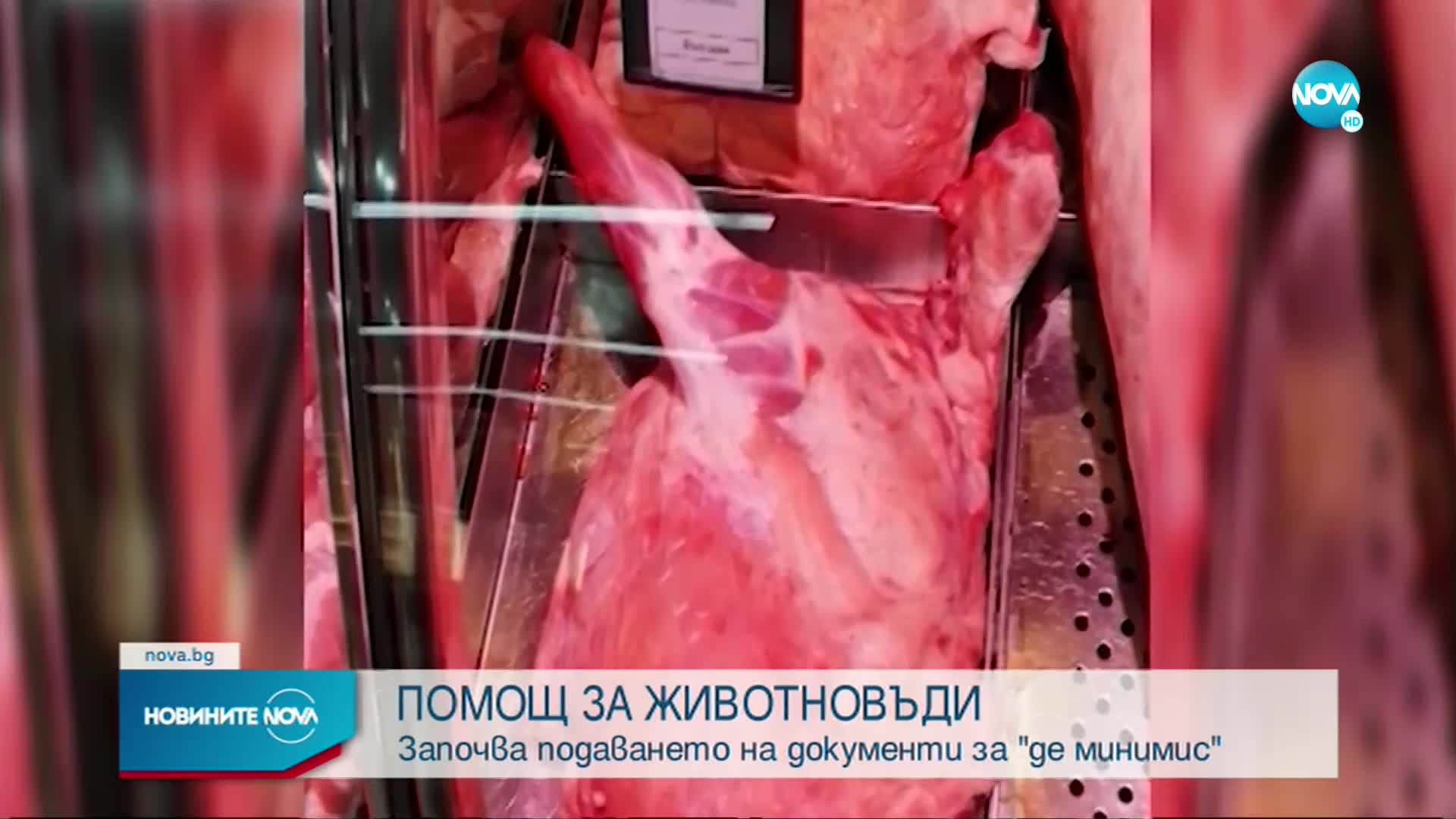 ПОМОЩ ЗА ЖИВОТНОВЪДИ: Започва подаването на документи за "де минимис"