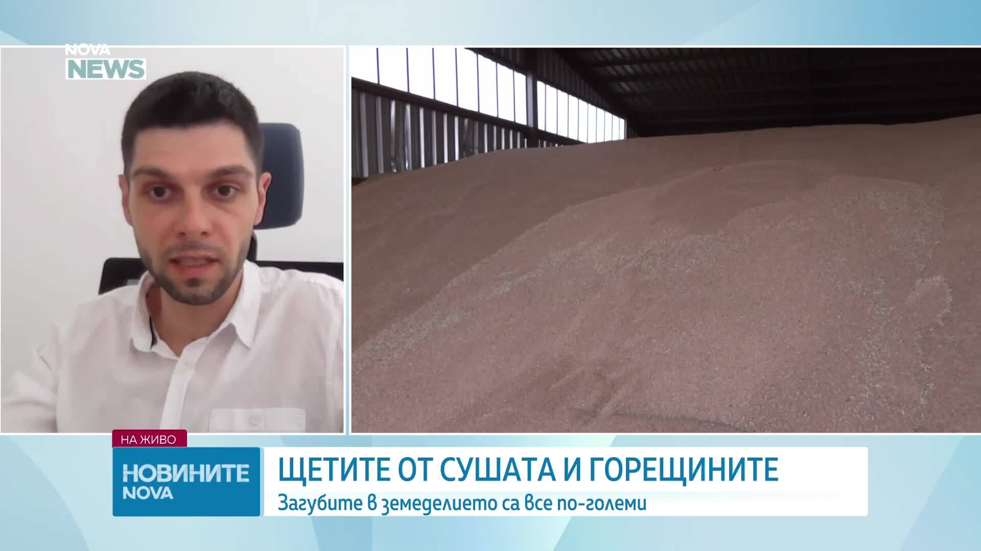 Горещините променят земеделието в Дунавската равнина