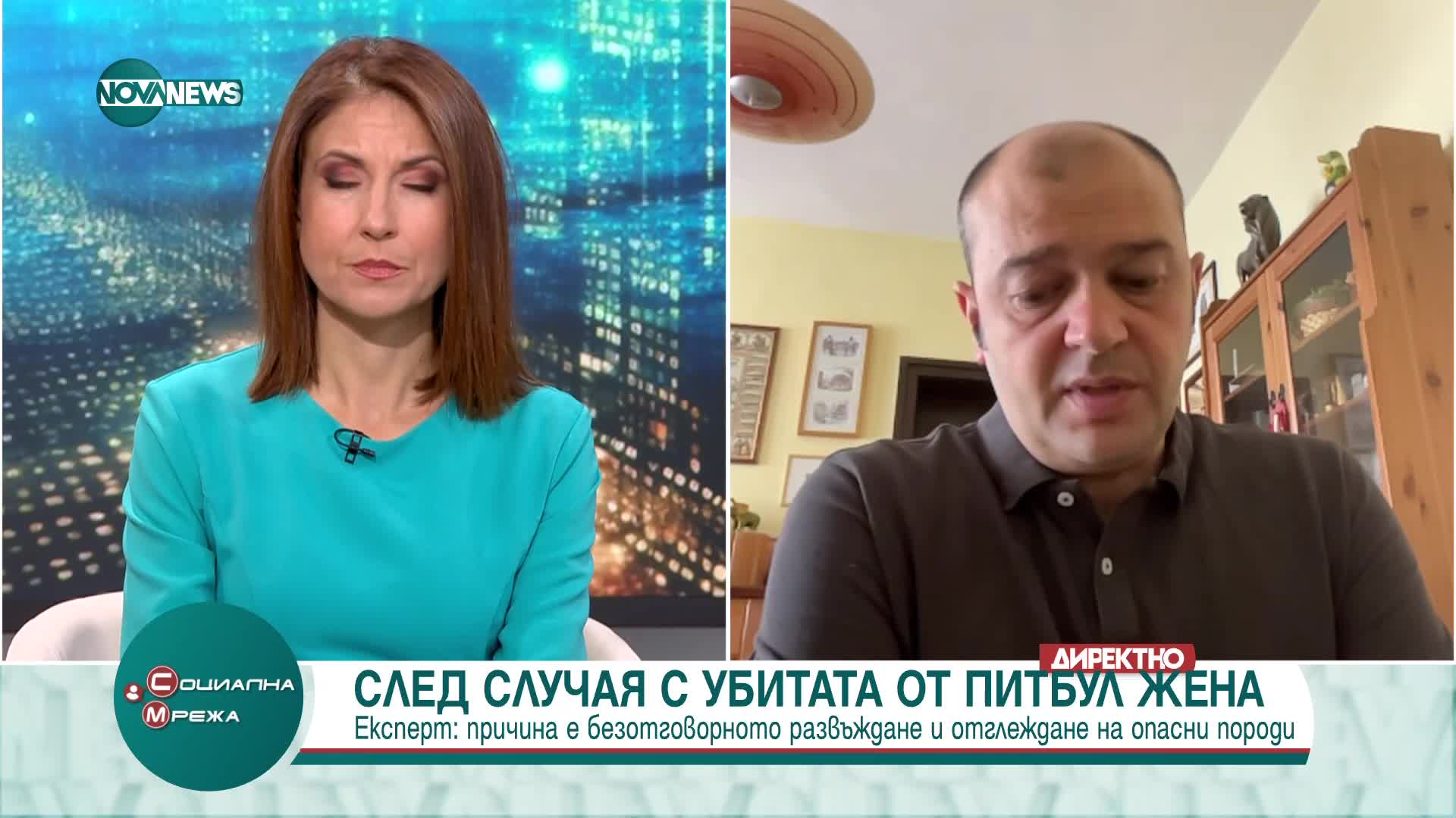 Експерт за случая с убитата жена от питбул: Причината не е породата, а човешката безотговорност