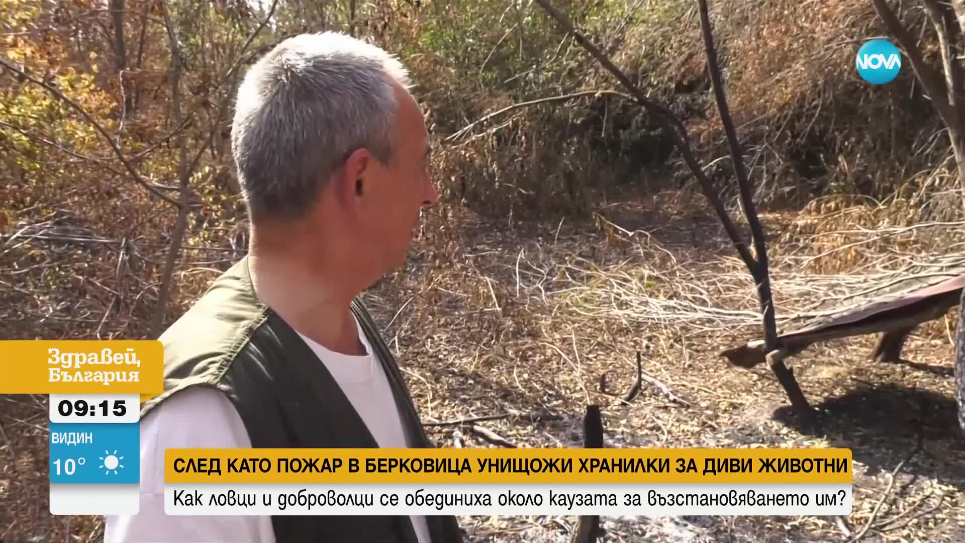 Пожар в Берковица унищожи хранилки за диви животни