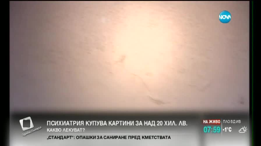Психиатрия купи картини за над 20 000 лева