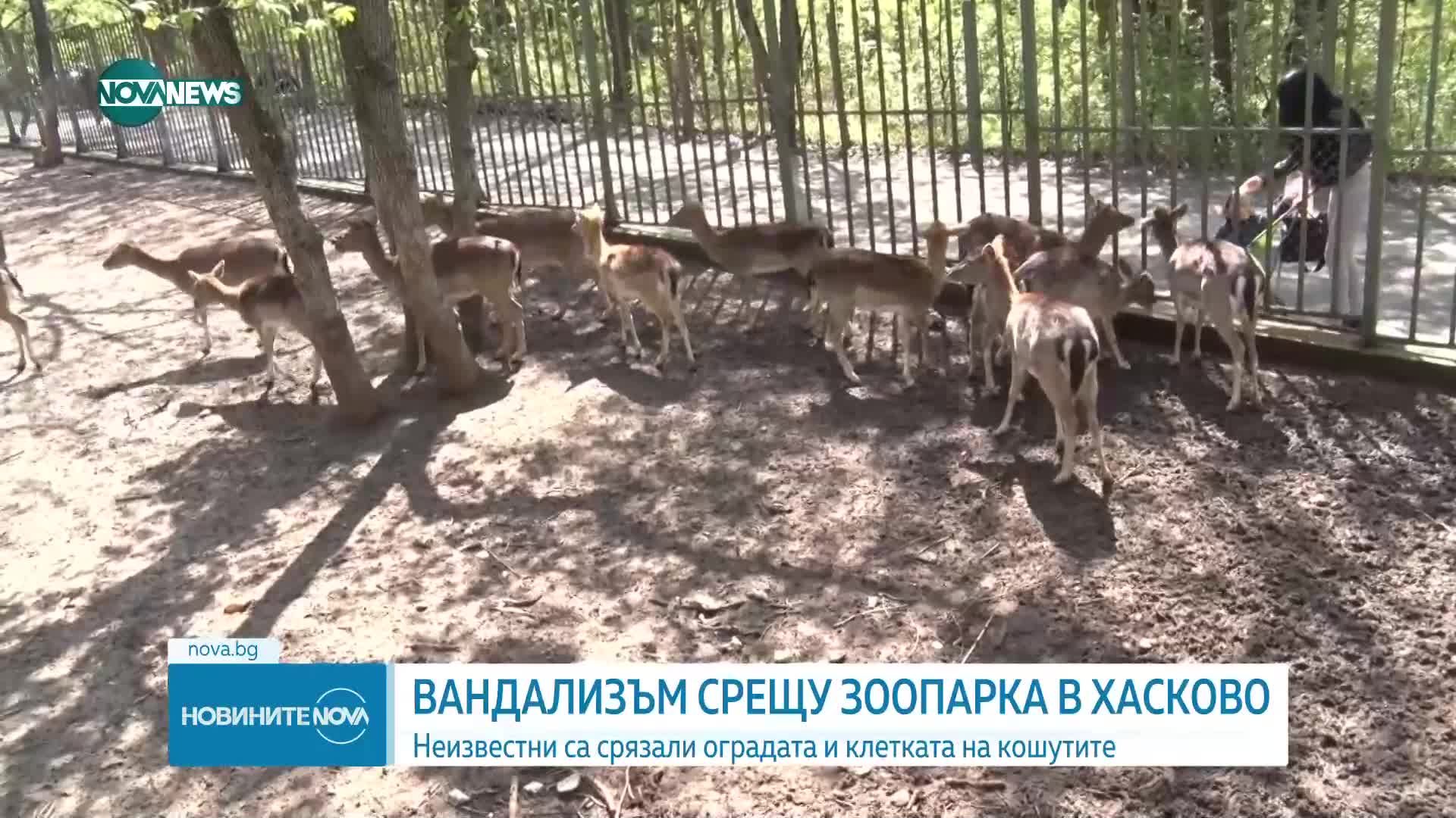 Вандали срязаха клетката на кошути в хасковския зоопарк