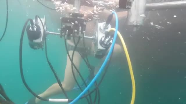 Екип на NOVA се спусна с подводница на дъното на Черно море