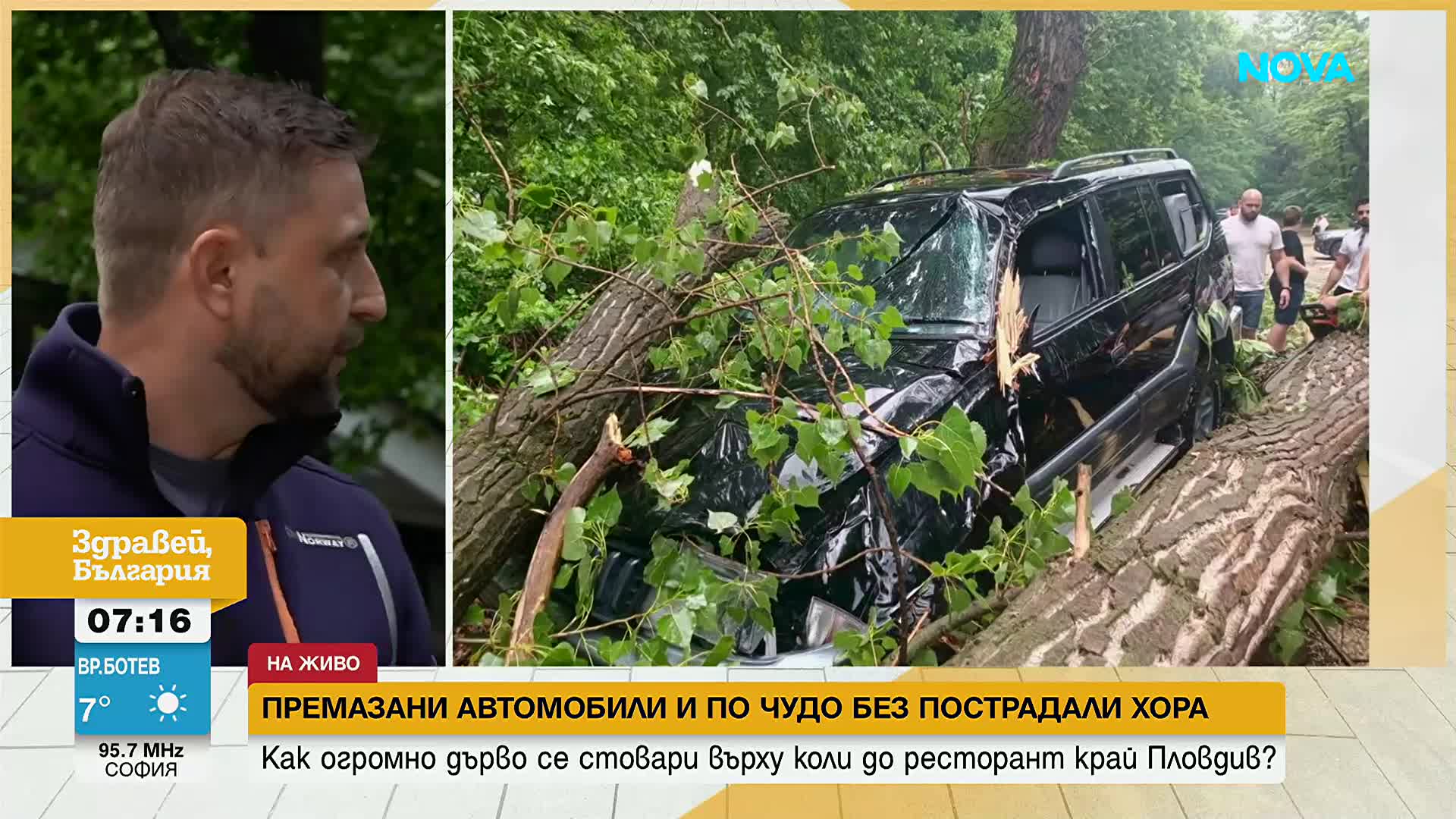 На минути от трагедия: Огромно дърво премаза автомобили пред ресторант до Пловдив