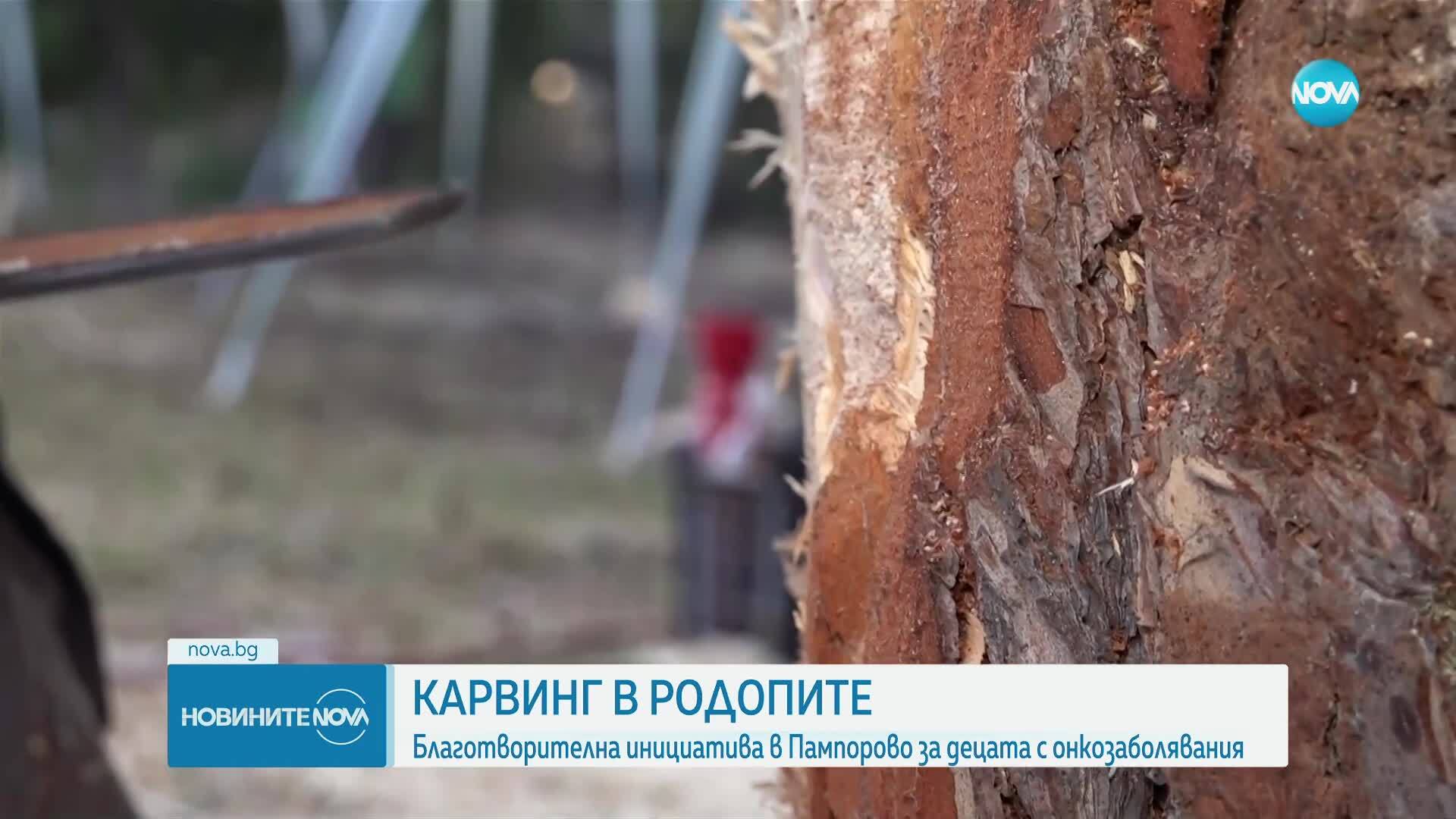 Карвинг с кауза се провежда в сърцето на Родопите (ВИДЕО)