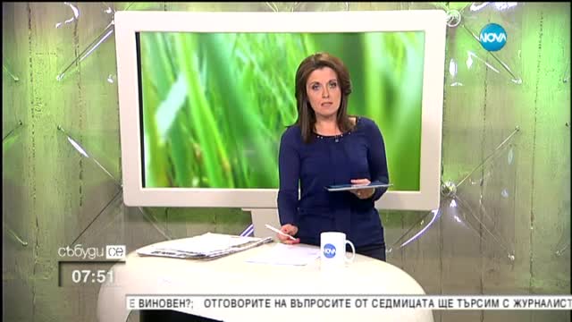 В печата: Фирмата, наела полигона в Анево, е свързана с Челопечене