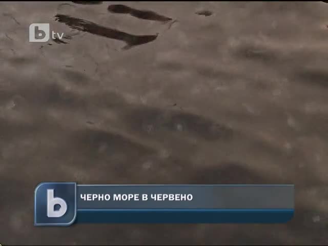 Черно море стана Червено 