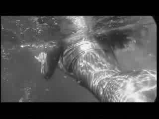 Деси Слава - Te Quedas Conmigo