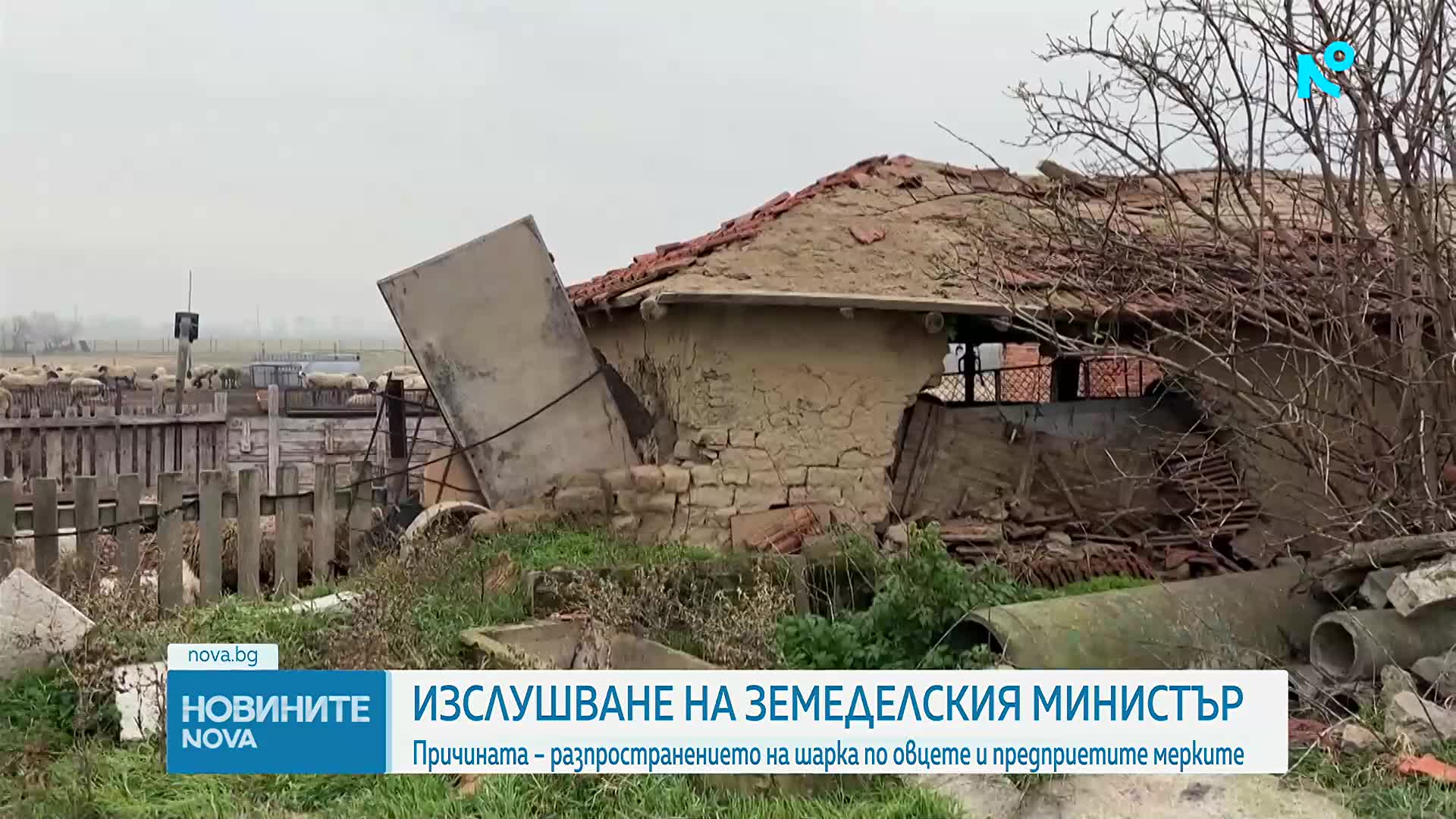В парламента изслушват Пламен Абровски за мерките срещу шарката по животните
