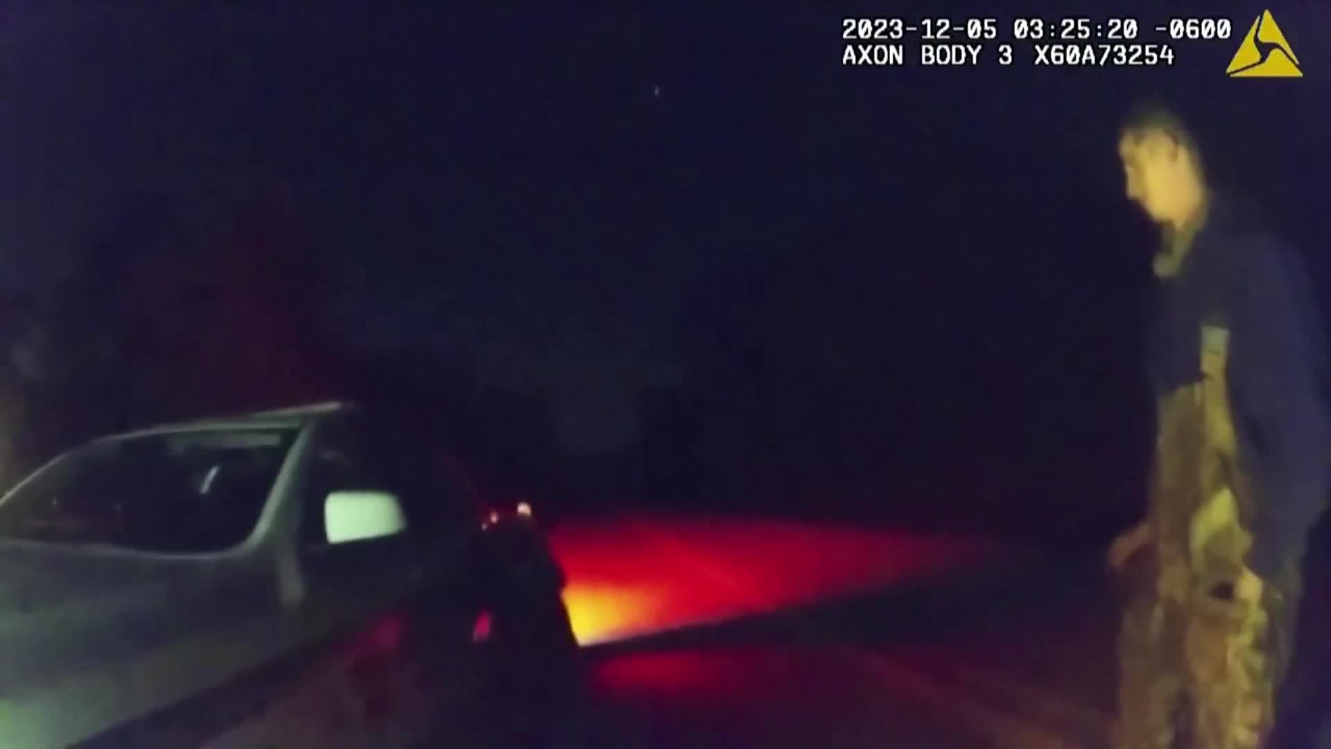 Любопитни мечета спряха движението на натоварен път във Флорида (ВИДЕО)