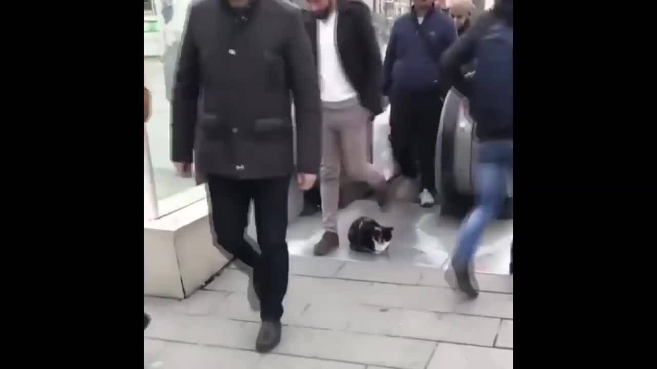 Супер забавна компилация с изцепки - Много смях