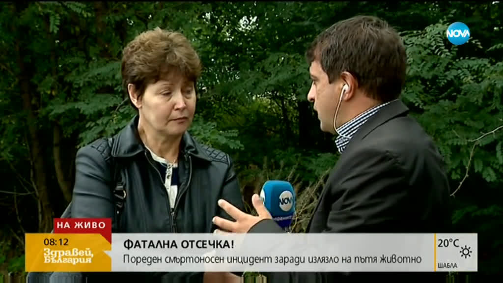 ФАТАЛНА ОТСЕЧКА: Пореден смъртоносен инцидент заради излязло на пътя животно
