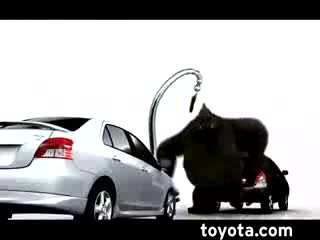 Весело - Toyota Yaris Vs Toyota Yaris