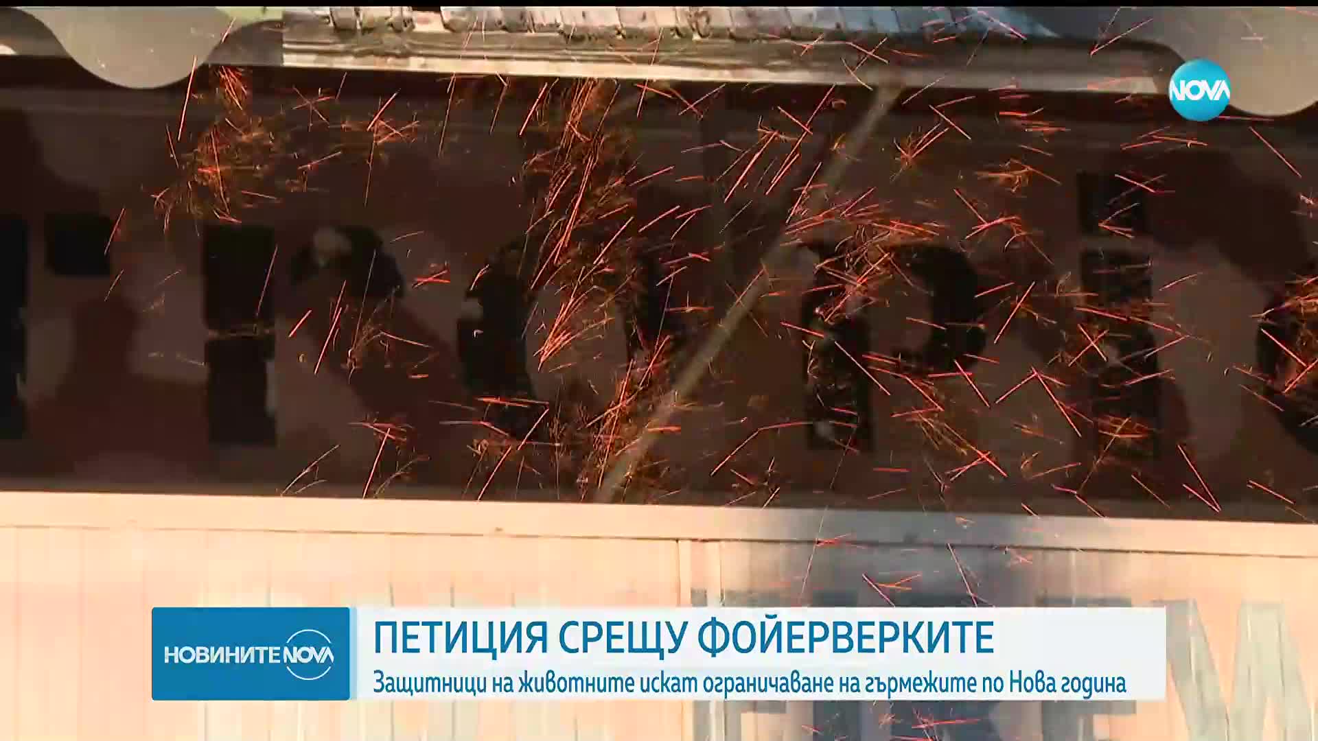 Защитници на животните искат ограничаване на пиротехниката по Нова година