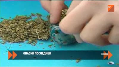 Марихуаната намалява I Q коефициента на интелигентност
