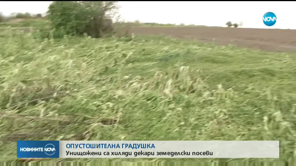 Новините на NOVA (07.05.2019 - следобедна емисия)