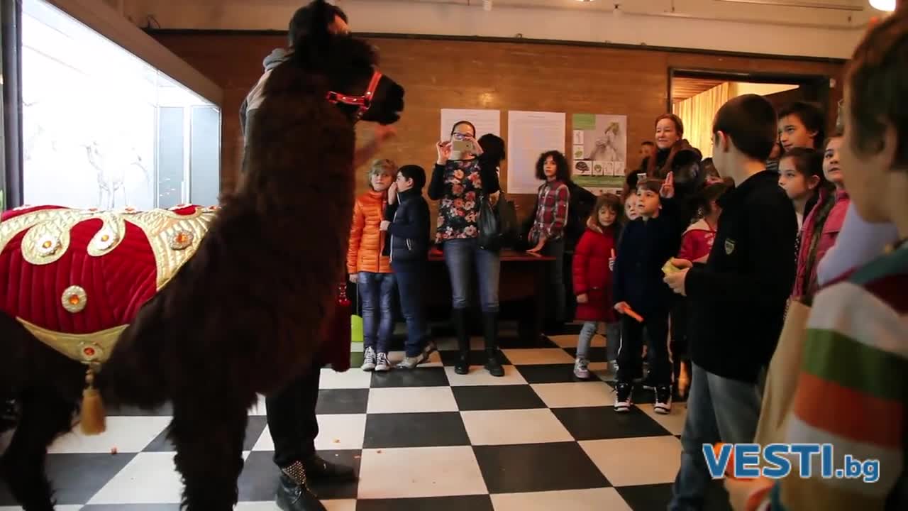 Деца храниха алпака в Природонаучния музей