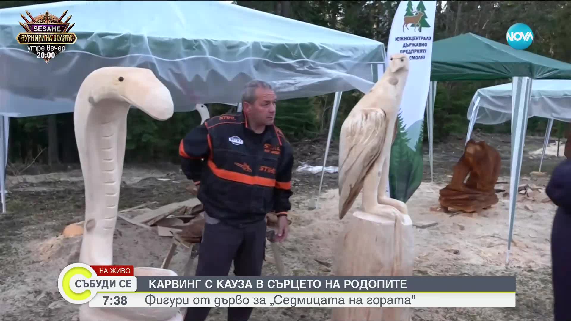 Карвинг с кауза се провежда в сърцето на Родопите