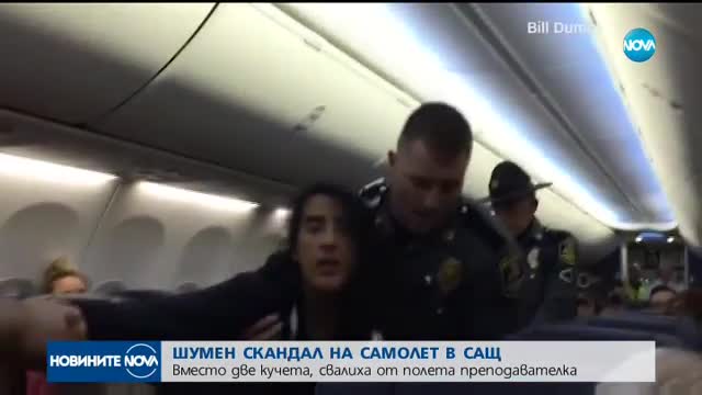Свалиха жена от самолет, вместо… две кучета
