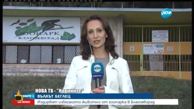 Независимостта на една вълчица - Господари на ефира (22.09.2015)
