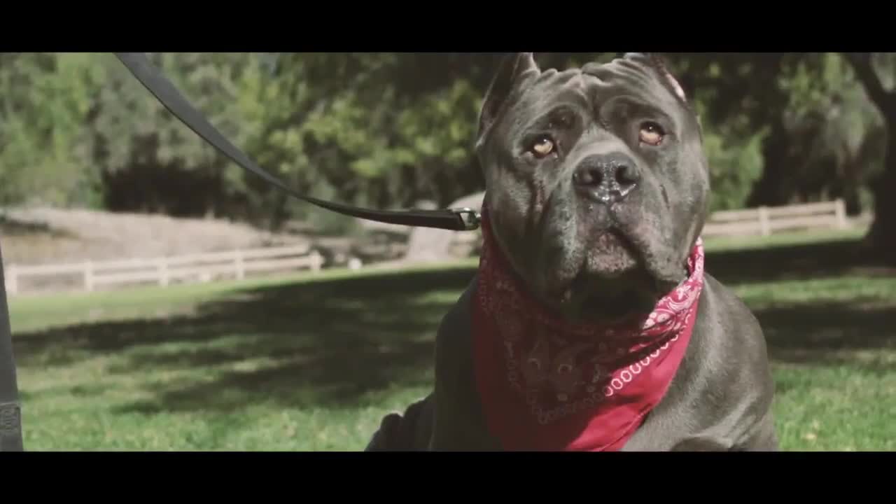 The Game Ft. Bobby Shmurda, Skeme, Freddie Gibbs - Hit Em Hard [бг превод]