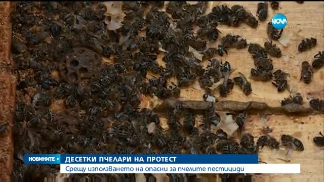 Пчеларите излизат на протест