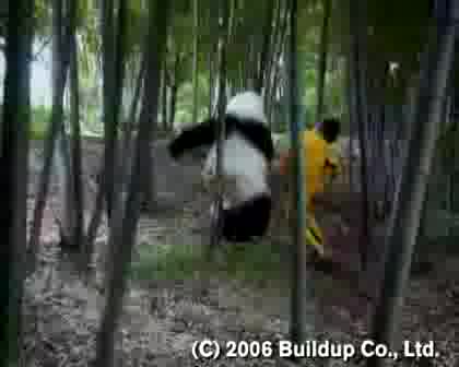 Kung-Fu Panda - Пародия
